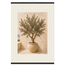 Olive Terrace: landscape and sun. Fine art poster by The Light Stays.