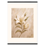 Alabaster Lily: flowers and botanical. Museum-quality fine art poster.