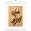 Magnolia Arc: flowers and botanical. Fine art poster by The Light Stays.