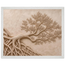 Root Lattice, petra and herbarium. Archival framed fine art print shown framed.