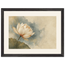 First Lotus Light: flowers and botanical. Framed fine art print.