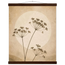 Pôster Wild Stems com suporte de madeira, hastes botânicas suaves em composição circular
