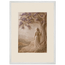 Old Friend, petra and herbarium. Archival framed fine art print shown framed.