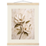 Gilded Magnolia: flowers and botanical. Fine art poster.