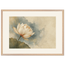 First Lotus Light: flowers and botanical. Museum-quality framed fine art print.