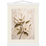 Gilded Magnolia: flowers and botanical. Museum-quality fine art poster.