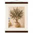 Olive Terrace, landscape and sun. Archival fine art poster shown framed.