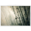 9247edbb-dd27-4ae4-b08e-f59e77246593