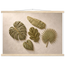 Green Constellation: botanical, green and loose rhythm. Fine art poster by The Light Stays.