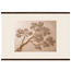 Lilac Reach: flowers and botanical. Fine art poster, alternate frame and size.