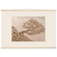 Root Lattice: petra and herbarium. Fine art poster by The Light Stays.