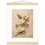Magnolia Ascent: flowers and botanical. Fine art poster.