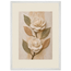Carved Camellia: flowers and botanical. Framed fine art print by The Light Stays.