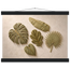 Green Constellation, botanical, green and loose rhythm. Archival fine art poster shown framed.