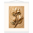 Magnolia Arc: flowers and botanical. Museum-quality fine art poster.