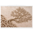 Root Lattice, petra and herbarium. Archival fine art poster shown framed.