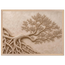 Root Lattice: petra and herbarium. Framed fine art print, alternate frame and size.