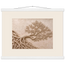 Root Lattice: petra and herbarium. Fine art poster, alternate frame and size.
