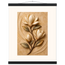 Magnolia Arc, flowers and botanical. Archival fine art poster shown framed.