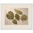 Green Constellation: botanical, green and loose rhythm. Museum-quality framed fine art print.