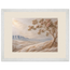 Cliffside Bloom: flowers and botanical. Museum-quality framed fine art print.