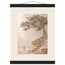 Vigil: petra and siena. Museum-quality fine art poster.