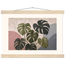 Monstera Sun: botanical and nature. Fine art poster.