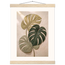 Stone Monstera: botanical and nature. Fine art poster.