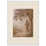 Old Friend, petra and herbarium. Archival framed fine art print shown framed.