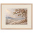 Cliffside Bloom: flowers and botanical. Framed fine art print by The Light Stays.