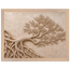 Root Lattice: petra and herbarium. Museum-quality framed fine art print.