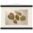 Green Constellation: botanical, green and loose rhythm. Fine art poster, alternate frame and size.