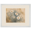 Chamomile Hours: flowers and botanical. Framed fine art print by The Light Stays.