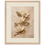 Magnolia Ascent: flowers and botanical. Framed fine art print, alternate frame and size.