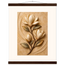 Magnolia Arc: flowers and botanical. Museum-quality fine art poster.