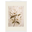 Gilded Magnolia: flowers and botanical. Museum-quality fine art poster.