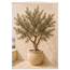 Olive Terrace: landscape and sun. Fine art poster, alternate frame and size.