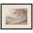 Cliffside Bloom, flowers and botanical. Archival framed fine art print shown framed.