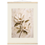 Gilded Magnolia, flowers and botanical. Archival fine art poster shown framed.