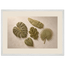 Green Constellation: botanical, green and loose rhythm. Framed fine art print, alternate frame and size.