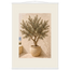 Olive Terrace: landscape and sun. Museum-quality fine art poster.