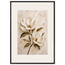 Gilded Magnolia: flowers and botanical. Framed fine art print by The Light Stays.