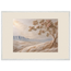 Cliffside Bloom: flowers and botanical. Museum-quality framed fine art print.