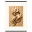 Magnolia Arc: flowers and botanical. Museum-quality fine art poster.