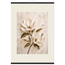 Gilded Magnolia, flowers and botanical. Archival fine art poster shown framed.