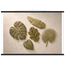 Green Constellation: botanical, green and loose rhythm. Fine art poster by The Light Stays.