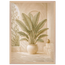 Courtyard Noon: landscape and sun. Framed fine art print by The Light Stays.