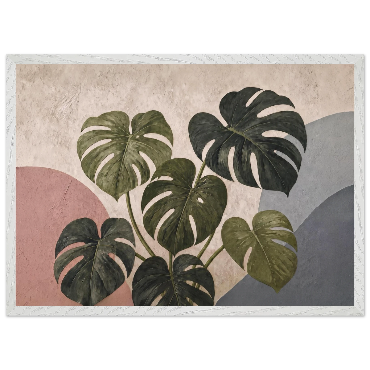 Monstera Sun, botanical and nature. Archival framed fine art print shown framed.