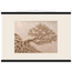 Root Lattice: petra and herbarium. Fine art poster, alternate frame and size.