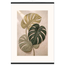 Stone Monstera: botanical and nature. Museum-quality fine art poster.